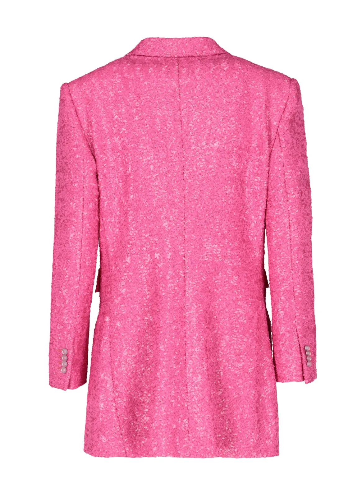 Dolce & Gabbana Sequin Embellished Single-Breasted Jacket