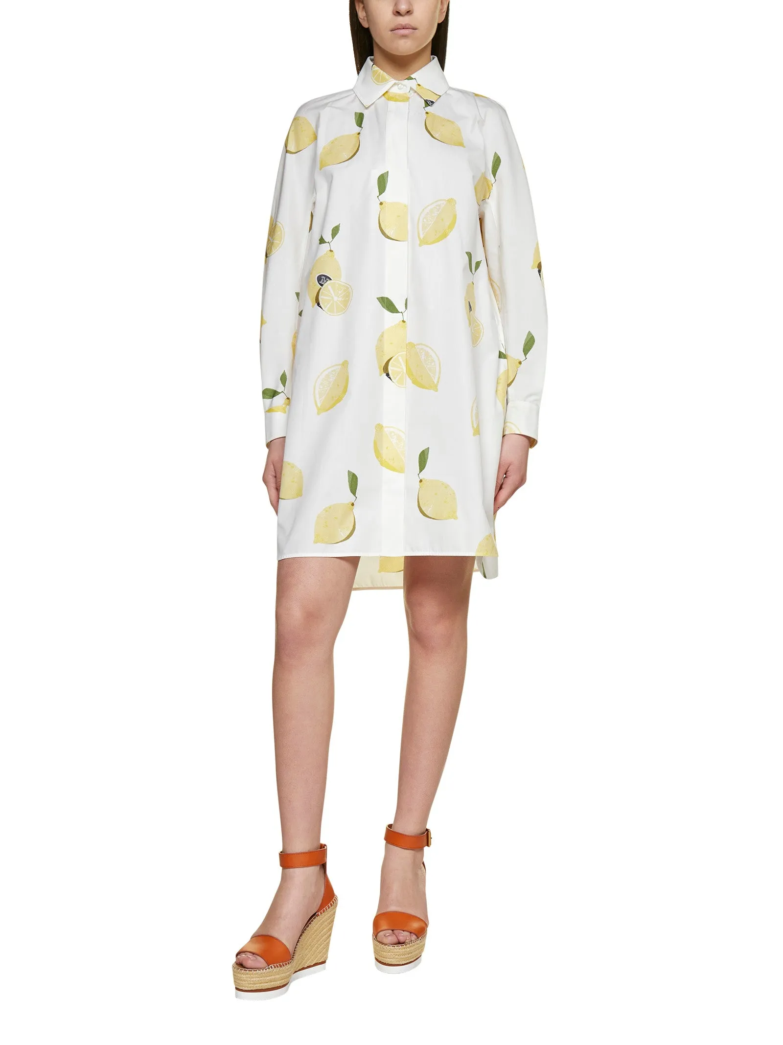 Max Mara Osella Printed Mini Dress
