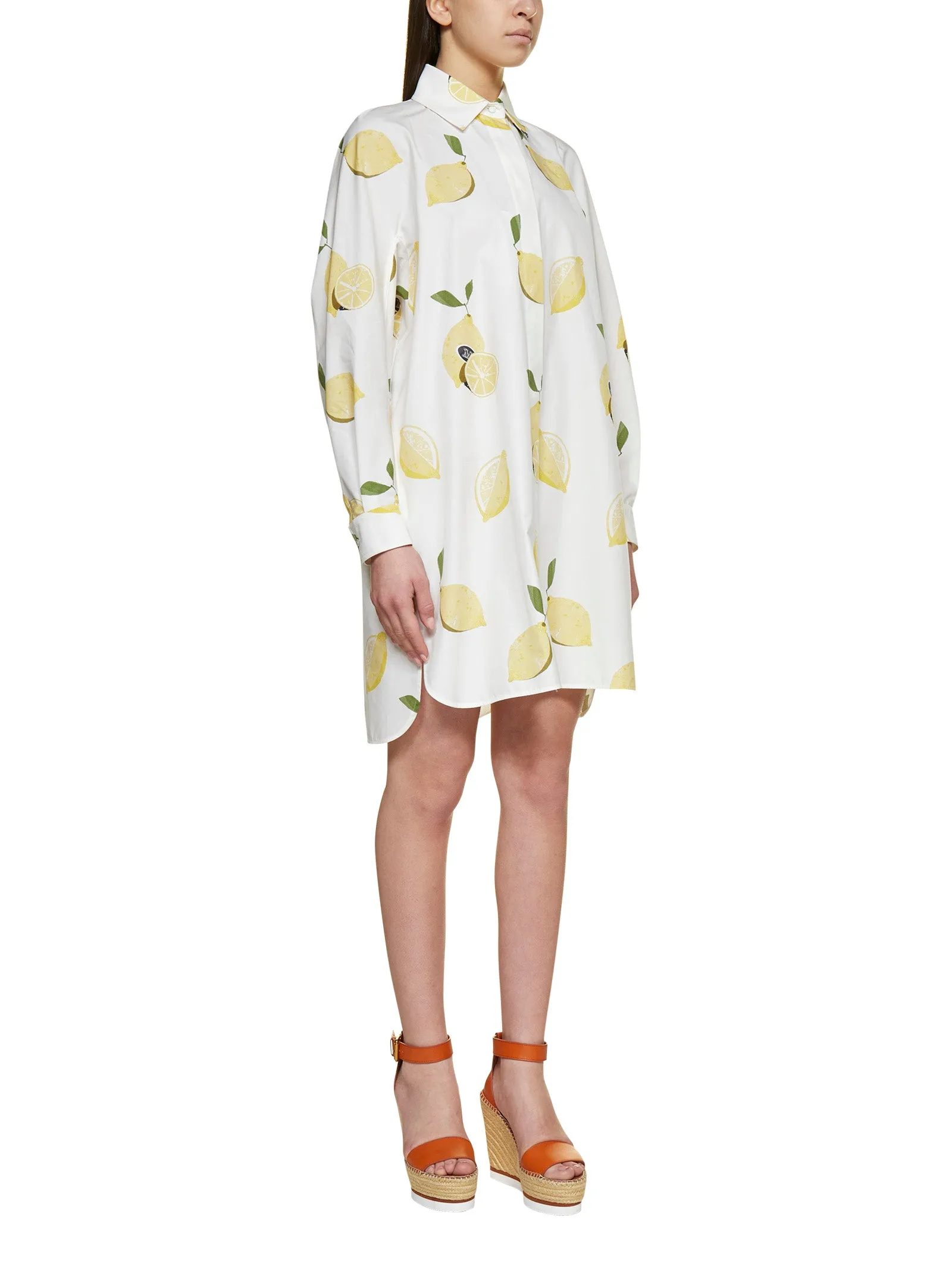 Max Mara Osella Printed Mini Dress