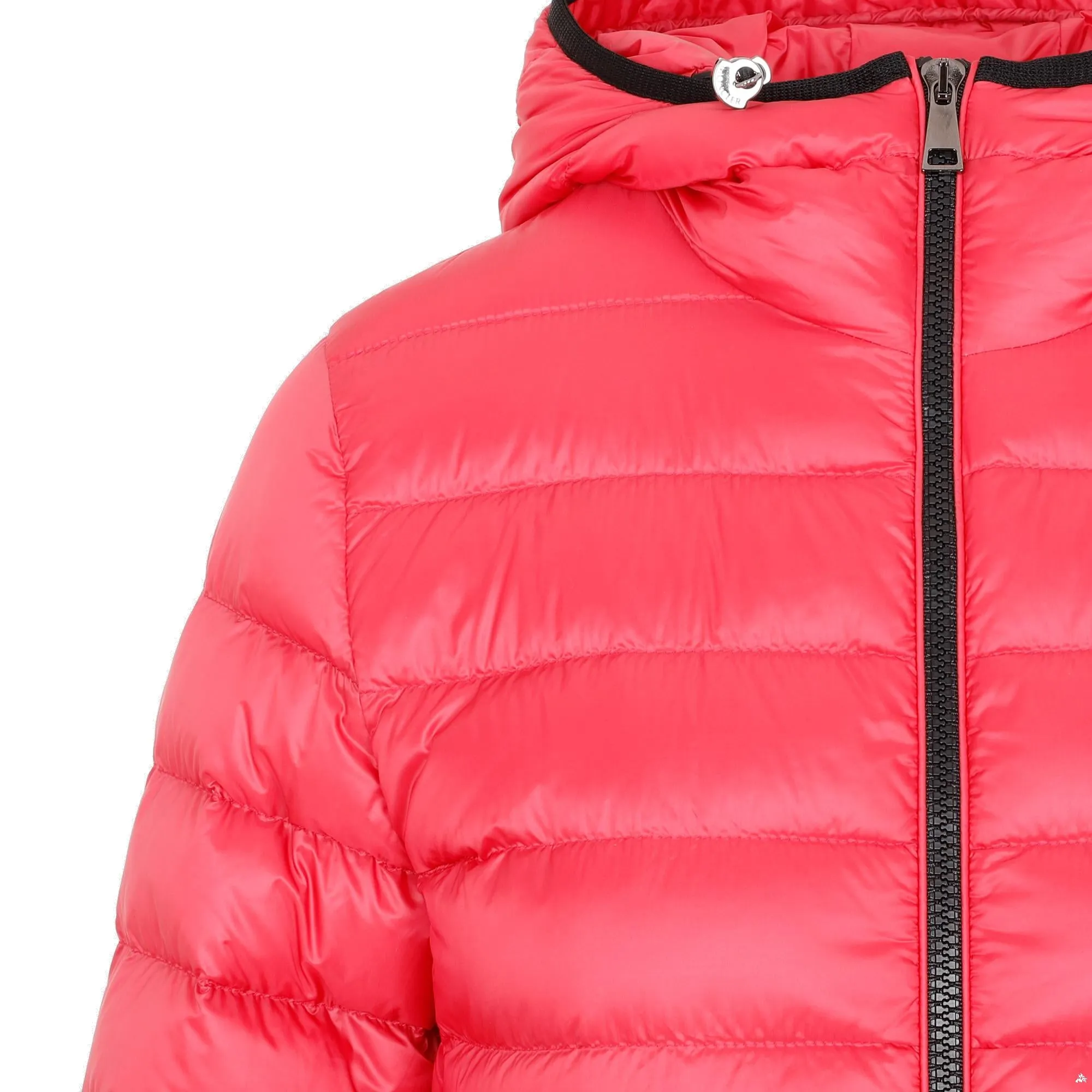Moncler Quilted Padded Jacket