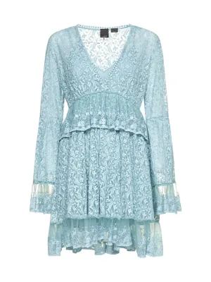 Pinko Embroidered Tulle Mini Dress